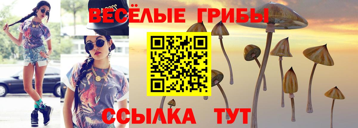 Псилоцибиновые грибы Cubensis  Вход с VPN  Менделеевск 